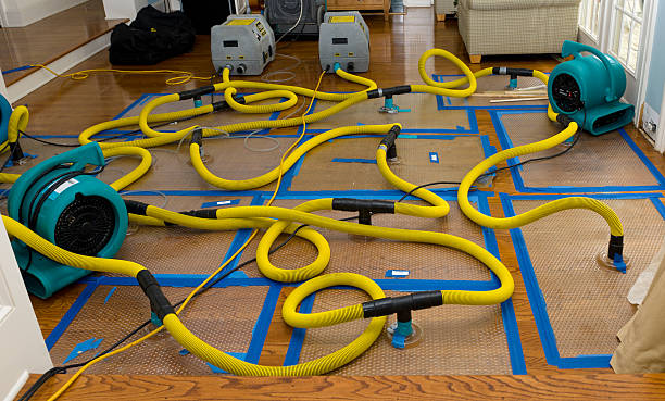 Professional Basement Flood Cleanup technician working in Bradley, SC